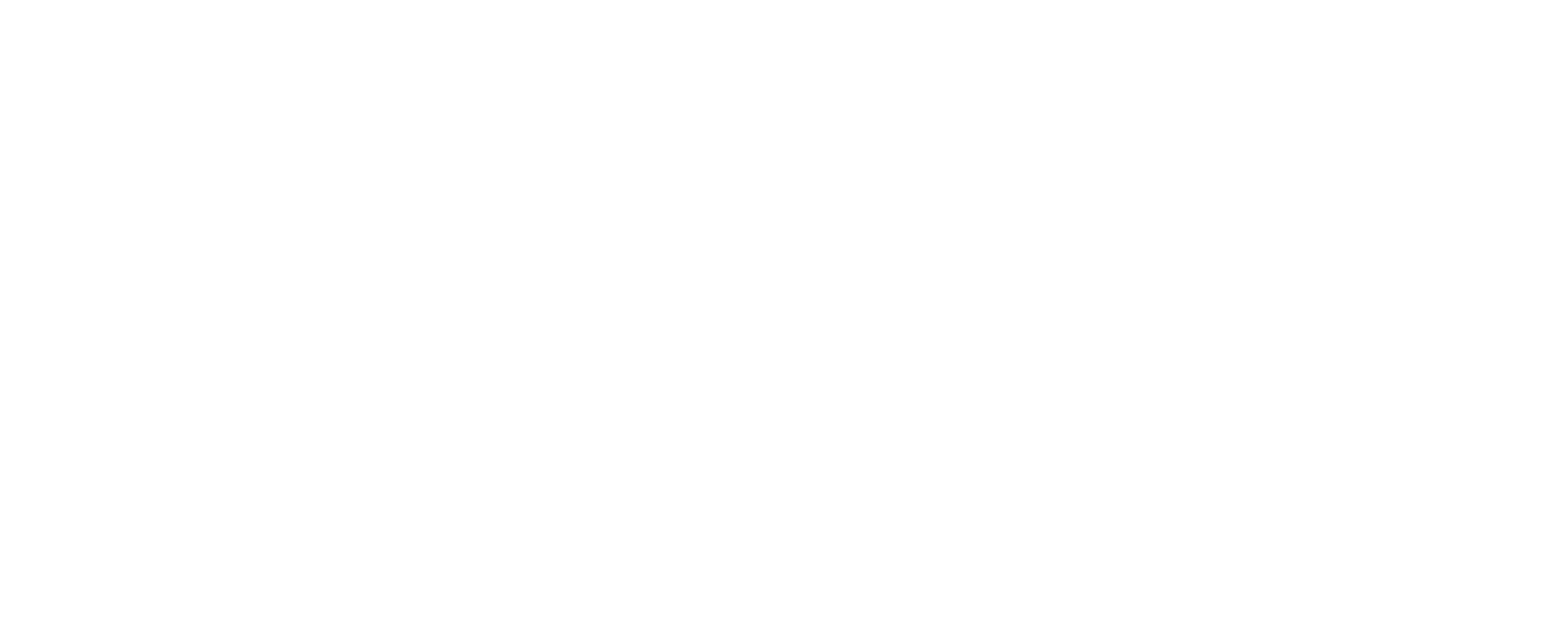 04 Snaptec Logo White